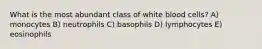 What is the most abundant class of white blood cells? A) monocytes B) neutrophils C) basophils D) lymphocytes E) eosinophils