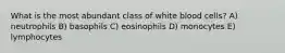 What is the most abundant class of white blood cells? A) neutrophils B) basophils C) eosinophils D) monocytes E) lymphocytes