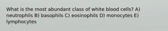 What is the most abundant class of white blood cells? A) neutrophils B) basophils C) eosinophils D) monocytes E) lymphocytes