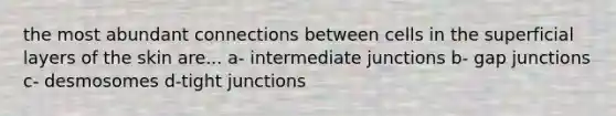 the most abundant connections between cells in the superficial layers of the skin are... a- intermediate junctions b- gap junctions c- desmosomes d-tight junctions