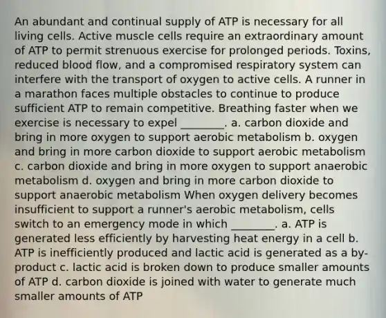 An abundant and continual supply of ATP is necessary for all living cells. Active muscle cells require an extraordinary amount of ATP to permit strenuous exercise for prolonged periods. Toxins, reduced blood flow, and a compromised respiratory system can interfere with the transport of oxygen to active cells. A runner in a marathon faces multiple obstacles to continue to produce sufficient ATP to remain competitive. Breathing faster when we exercise is necessary to expel ________. a. carbon dioxide and bring in more oxygen to support aerobic metabolism b. oxygen and bring in more carbon dioxide to support aerobic metabolism c. carbon dioxide and bring in more oxygen to support anaerobic metabolism d. oxygen and bring in more carbon dioxide to support anaerobic metabolism When oxygen delivery becomes insufficient to support a runner's aerobic metabolism, cells switch to an emergency mode in which ________. a. ATP is generated less efficiently by harvesting heat energy in a cell b. ATP is inefficiently produced and lactic acid is generated as a by-product c. lactic acid is broken down to produce smaller amounts of ATP d. carbon dioxide is joined with water to generate much smaller amounts of ATP