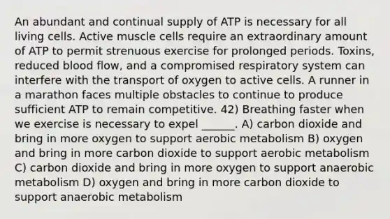 An abundant and continual supply of ATP is necessary for all living cells. Active muscle cells require an extraordinary amount of ATP to permit strenuous exercise for prolonged periods. Toxins, reduced blood flow, and a compromised respiratory system can interfere with the transport of oxygen to active cells. A runner in a marathon faces multiple obstacles to continue to produce sufficient ATP to remain competitive. 42) Breathing faster when we exercise is necessary to expel ______. A) carbon dioxide and bring in more oxygen to support aerobic metabolism B) oxygen and bring in more carbon dioxide to support aerobic metabolism C) carbon dioxide and bring in more oxygen to support anaerobic metabolism D) oxygen and bring in more carbon dioxide to support anaerobic metabolism