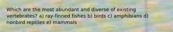 Which are the most abundant and diverse of existing vertebrates? a) ray-finned fishes b) birds c) amphibians d) nonbird reptiles e) mammals