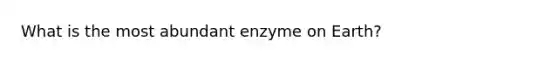 What is the most abundant enzyme on Earth?