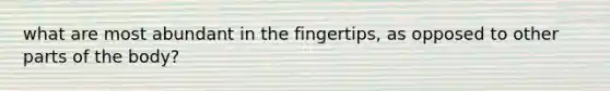 what are most abundant in the fingertips, as opposed to other parts of the body?