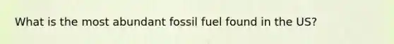 What is the most abundant fossil fuel found in the US?