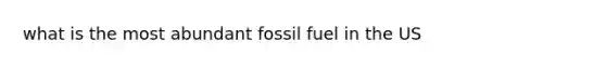 what is the most abundant fossil fuel in the US