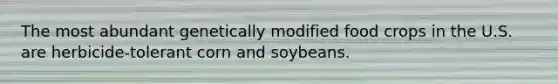 The most abundant genetically modified food crops in the U.S. are herbicide-tolerant corn and soybeans.