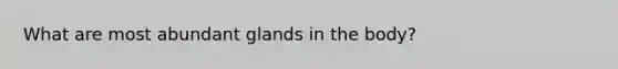 What are most abundant glands in the body?