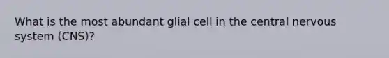 What is the most abundant glial cell in the central nervous system (CNS)?