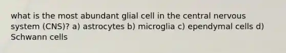 what is the most abundant glial cell in the central nervous system (CNS)? a) astrocytes b) microglia c) ependymal cells d) Schwann cells