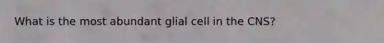 What is the most abundant glial cell in the CNS?