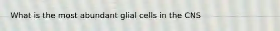 What is the most abundant glial cells in the CNS