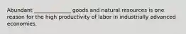 Abundant ______________ goods and natural resources is one reason for the high productivity of labor in industrially advanced economies.