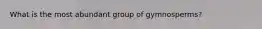 What is the most abundant group of gymnosperms?