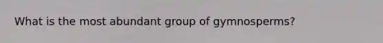 What is the most abundant group of gymnosperms?