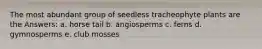 The most abundant group of seedless tracheophyte plants are the Answers: a. horse tail b. angiosperms c. ferns d. gymnosperms e. club mosses