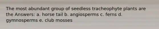 The most abundant group of seedless tracheophyte plants are the Answers: a. horse tail b. angiosperms c. ferns d. gymnosperms e. club mosses