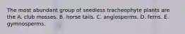 The most abundant group of seedless tracheophyte plants are the A. club mosses. B. horse tails. C. angiosperms. D. ferns. E. gymnosperms.