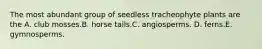 The most abundant group of seedless tracheophyte plants are the A. club mosses.B. horse tails.C. angiosperms. D. ferns.E. gymnosperms.