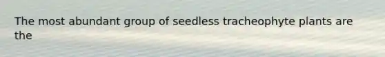 The most abundant group of seedless tracheophyte plants are the