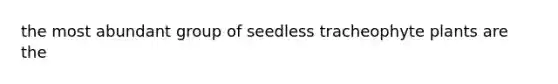 the most abundant group of seedless tracheophyte plants are the