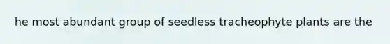 he most abundant group of seedless tracheophyte plants are the