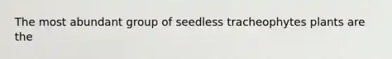 The most abundant group of seedless tracheophytes plants are the