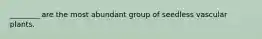 ________ are the most abundant group of seedless vascular plants.