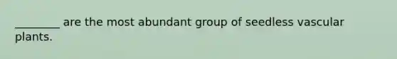 ________ are the most abundant group of seedless <a href='https://www.questionai.com/knowledge/kbaUXKuBoK-vascular-plants' class='anchor-knowledge'>vascular plants</a>.