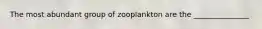 The most abundant group of zooplankton are the _______________