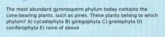 The most abundant gymnosperm phylum today contains the cone-bearing plants, such as pines. These plants belong to which phylum? A) cycadophyta B) ginkgophyta C) gnetophyta D) coniferophyta E) none of above