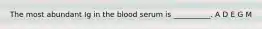 The most abundant Ig in the blood serum is __________. A D E G M