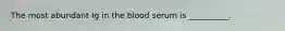 The most abundant Ig in the blood serum is __________.