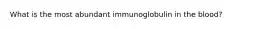 What is the most abundant immunoglobulin in the blood?