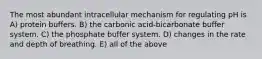 The most abundant intracellular mechanism for regulating pH is A) protein buffers. B) the carbonic acid-bicarbonate buffer system. C) the phosphate buffer system. D) changes in the rate and depth of breathing. E) all of the above