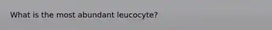 What is the most abundant leucocyte?