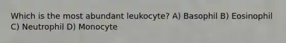 Which is the most abundant leukocyte? A) Basophil B) Eosinophil C) Neutrophil D) Monocyte