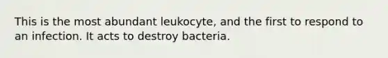 This is the most abundant leukocyte, and the first to respond to an infection. It acts to destroy bacteria.