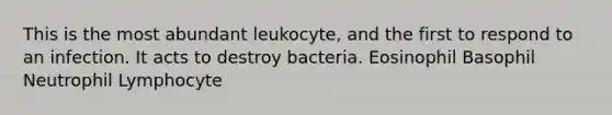 This is the most abundant leukocyte, and the first to respond to an infection. It acts to destroy bacteria. Eosinophil Basophil Neutrophil Lymphocyte