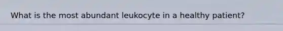 What is the most abundant leukocyte in a healthy patient?