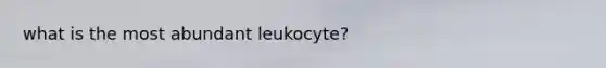 what is the most abundant leukocyte?