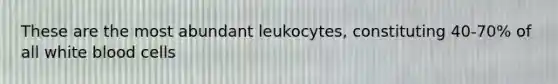 These are the most abundant leukocytes, constituting 40-70% of all white blood cells