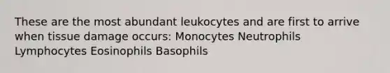 These are the most abundant leukocytes and are first to arrive when tissue damage occurs: Monocytes​ Neutrophils Lymphocytes Eosinophils Basophils