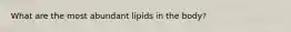 What are the most abundant lipids in the body?