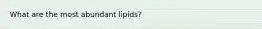 What are the most abundant lipids?