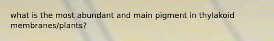 what is the most abundant and main pigment in thylakoid membranes/plants?