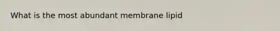 What is the most abundant membrane lipid