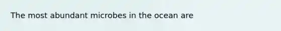 The most abundant microbes in the ocean are
