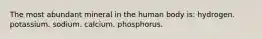 The most abundant mineral in the human body is: hydrogen. potassium. sodium. calcium. phosphorus.